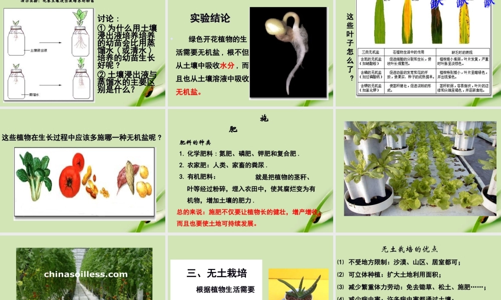 七年级生物上册 第五章第3节吸收作用课件 北师大版 课件