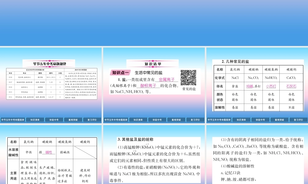 中考化学总复习 第1编 教材知识梳理篇 第11单元 盐 化肥(精讲)课件