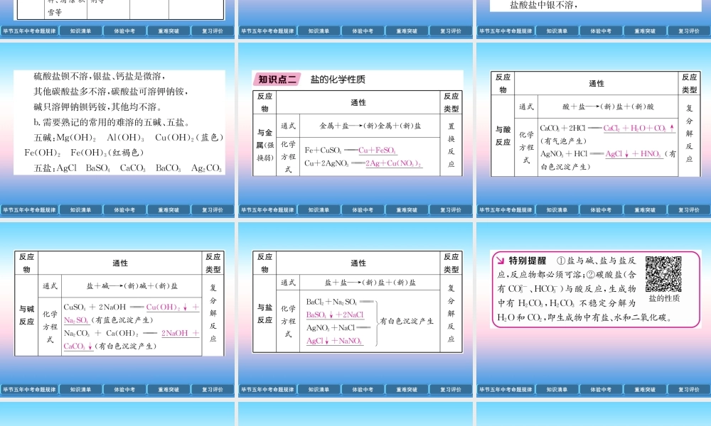 中考化学总复习 第1编 教材知识梳理篇 第11单元 盐 化肥(精讲)课件