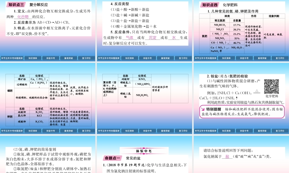 中考化学总复习 第1编 教材知识梳理篇 第11单元 盐 化肥(精讲)课件