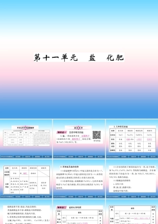 中考化学总复习 第1编 教材知识梳理篇 第11单元 盐 化肥(精讲)课件