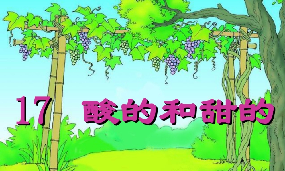 酸的和甜的课件 (2)