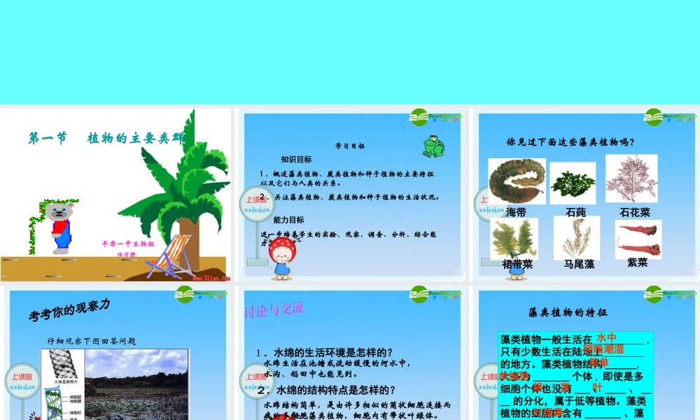 七年级生物(植物的主要群落)课件 人教版 课件