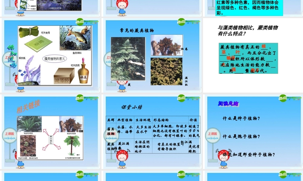 七年级生物(植物的主要群落)课件 人教版 课件