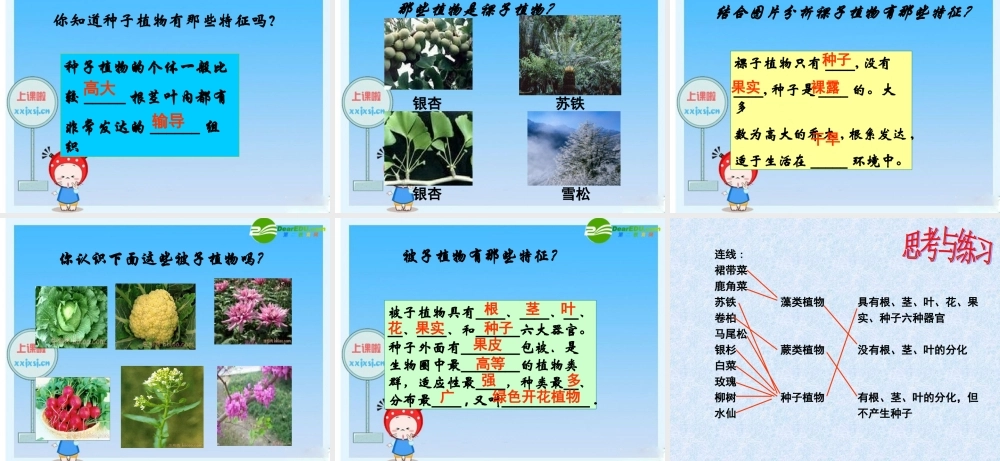 七年级生物(植物的主要群落)课件 人教版 课件