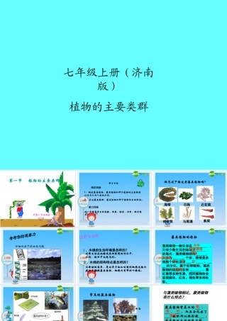 七年级生物(植物的主要群落)课件 人教版 课件