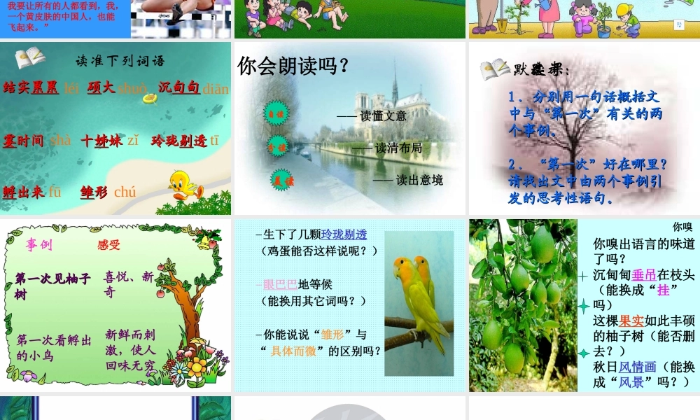 七年级语文上：第7课(短文两篇)之第一次真好课件(人教新课标) 课件