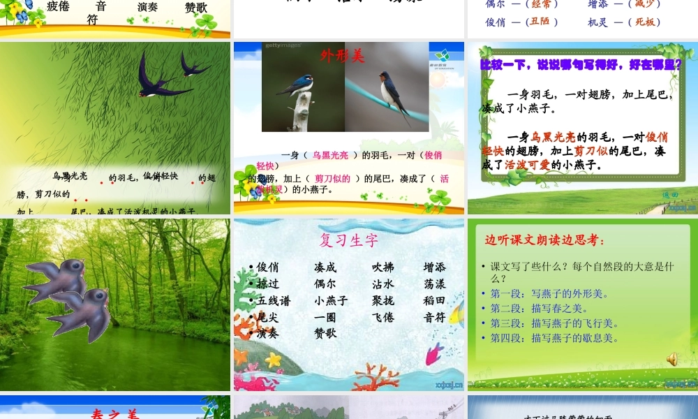 小学语文三年级下册《燕子》课件 (2)