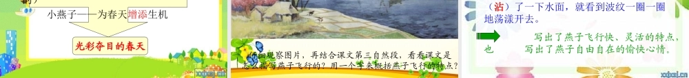 小学语文三年级下册《燕子》课件 (2)