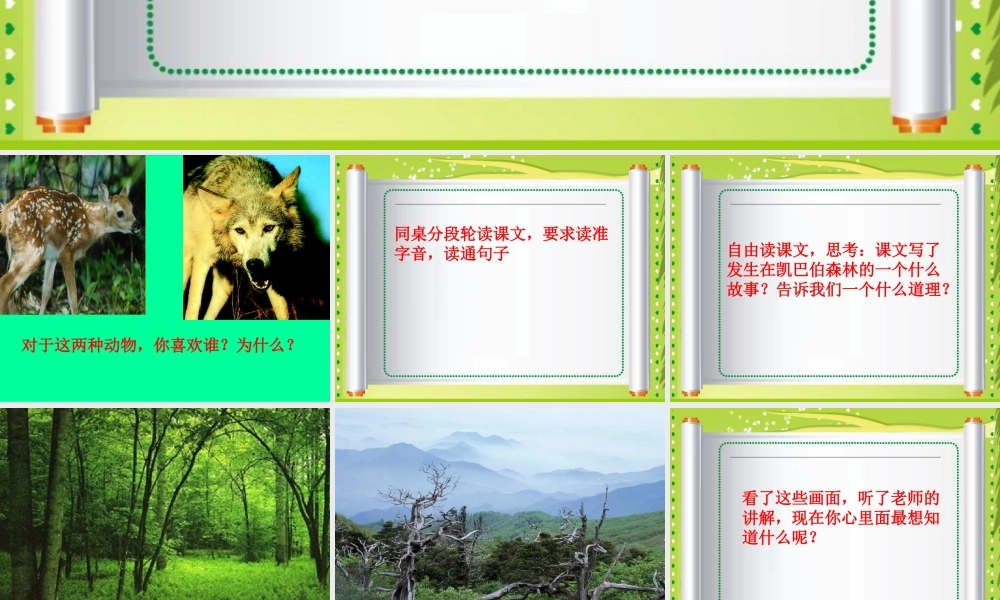 2-鹿和狼的故事-课件3