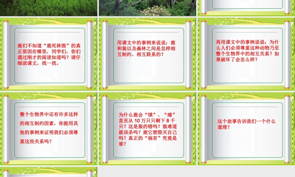 2-鹿和狼的故事-课件3