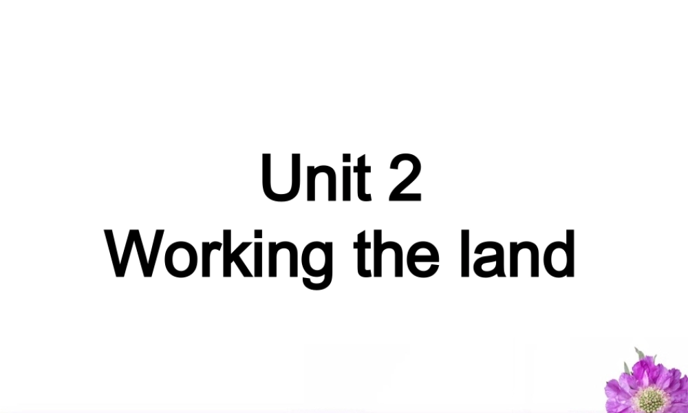 广东省高考英语复习Unit2 Working the land 新课标 人教版 试题