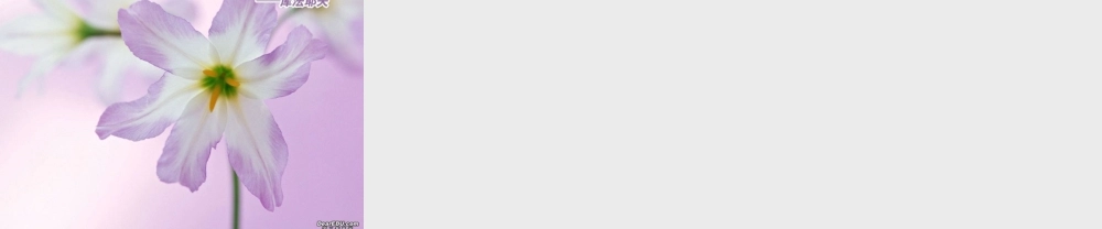 广东省高考英语复习Unit2 Working the land 新课标 人教版 试题