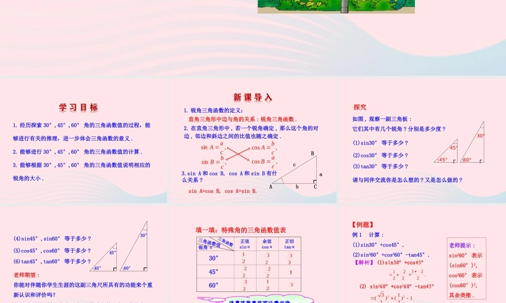 九年级数学下册 第一章直角三角形的边角关系 230° 45° 60°角的三角函数值课件 北师大版 课件