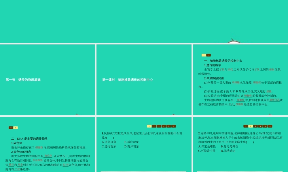 八年级生物上册 第四单元 第四章 第一节 遗传的物质基础(第1课时 细胞核是遗传的控制中心)课件 (新版)济南版 课件