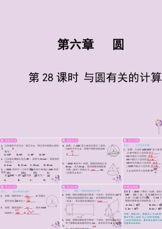 春中考数学复习 第6章 圆 第28课时 与圆有关的计算课件