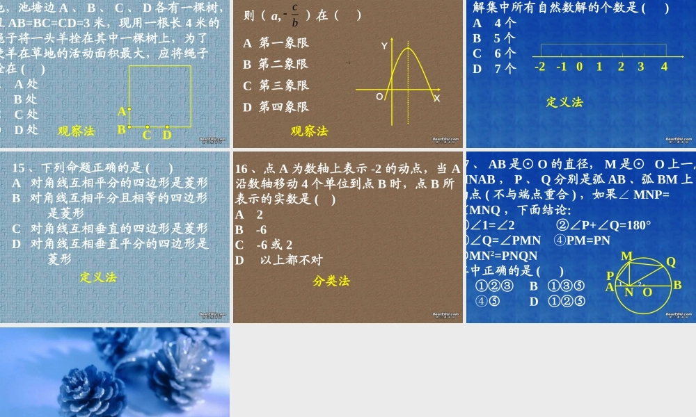 初三总复习选择题解法课件