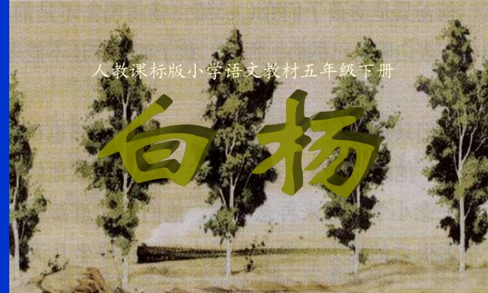 白杨教学课件