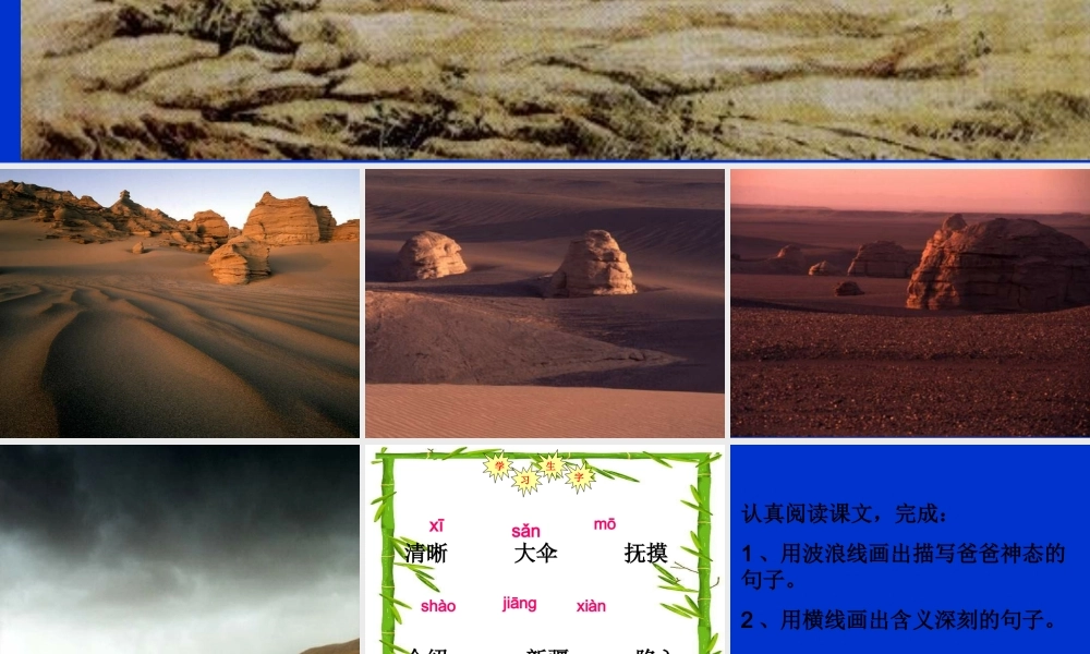 白杨教学课件