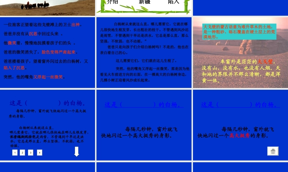 白杨教学课件