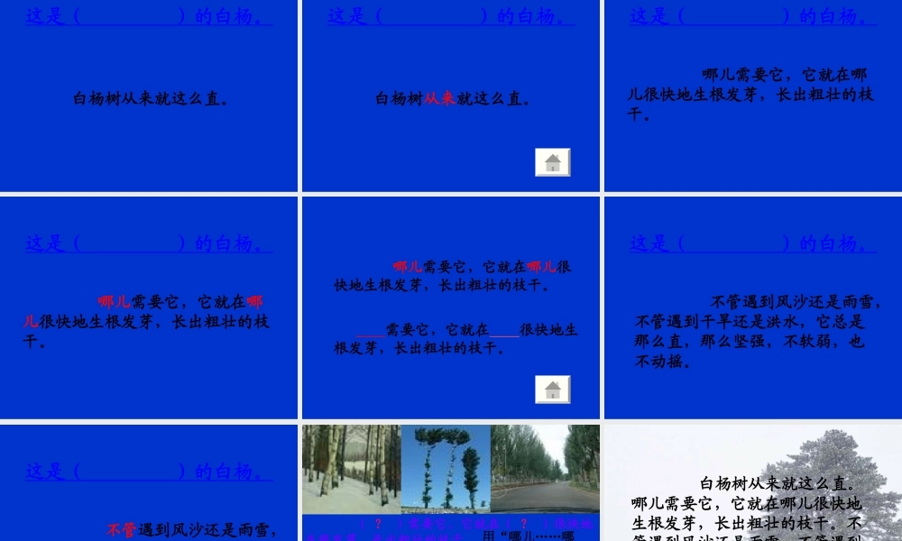 白杨教学课件