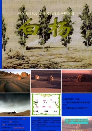 白杨教学课件