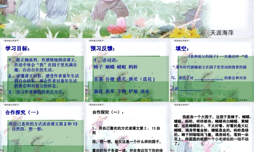 我和祖父的园子 (3)