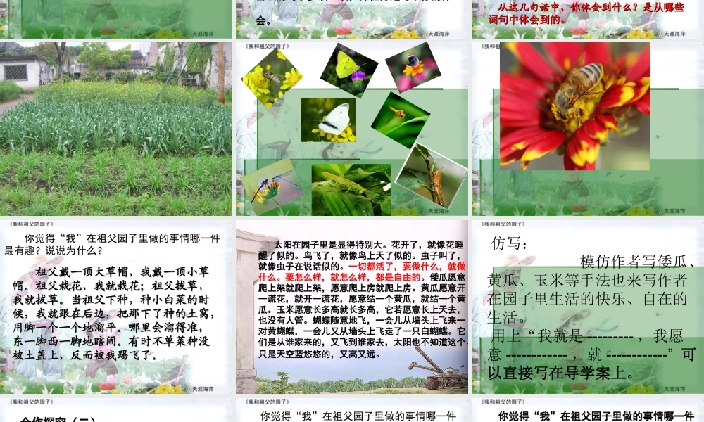 我和祖父的园子 (3)