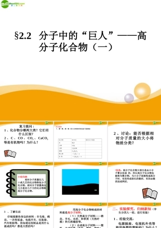 九年级科学上册 第二章第二节分子中的 巨人 课件(2)华师大版 课件