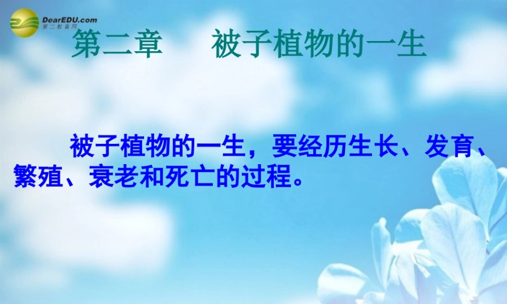 中学七年级生物上册(3.2 被子植物的一生)课件 新人教版 课件