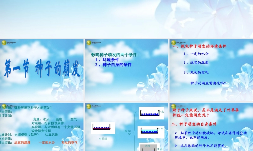 中学七年级生物上册(3.2 被子植物的一生)课件 新人教版 课件
