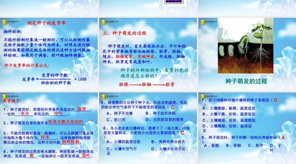 中学七年级生物上册(3.2 被子植物的一生)课件 新人教版 课件
