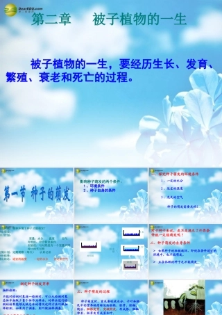 中学七年级生物上册(3.2 被子植物的一生)课件 新人教版 课件