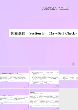 八年级英语上册 Unit 9 Can you come to my party(第4课时)Section B习题课件 (新版)人教新目标版 课件