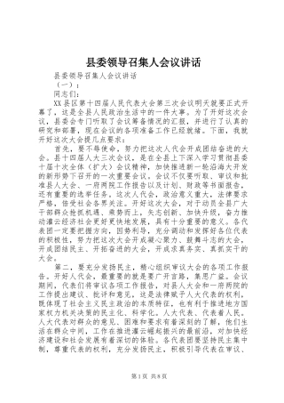 县委领导召集人会议讲话