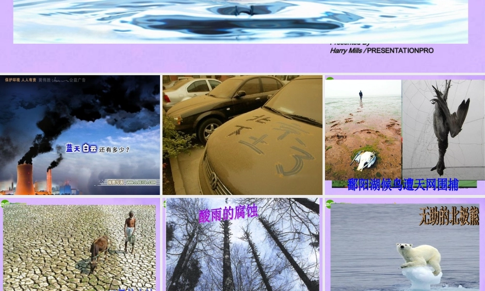 八年级政治下册 12_2人与自然不和谐之音课件 鲁教版 课件