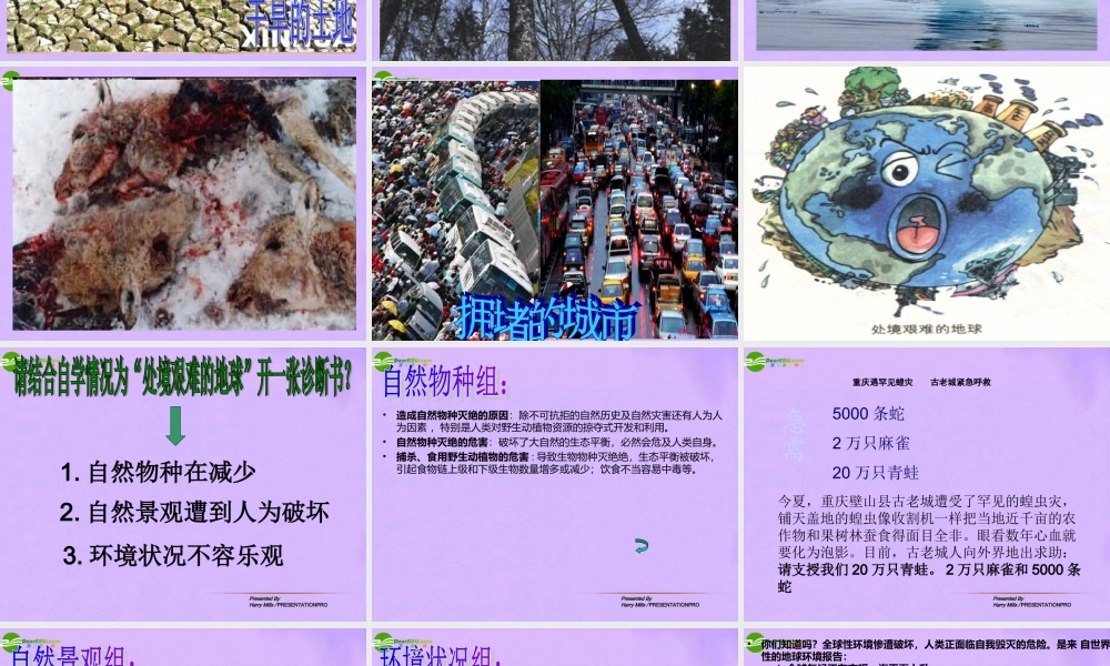 八年级政治下册 12_2人与自然不和谐之音课件 鲁教版 课件