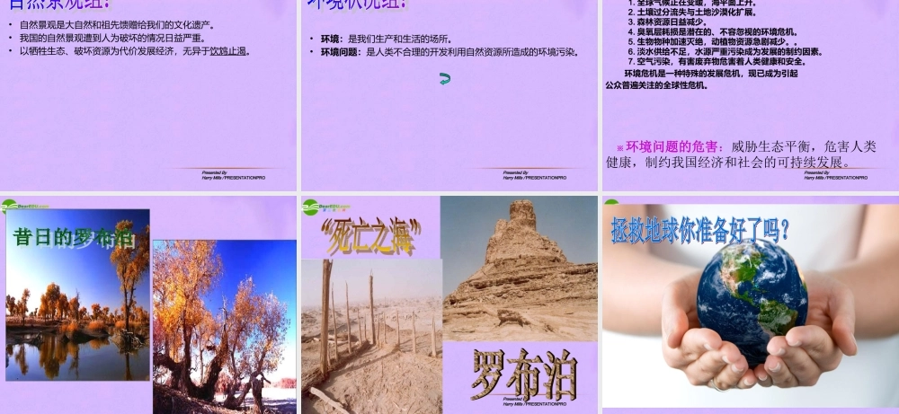 八年级政治下册 12_2人与自然不和谐之音课件 鲁教版 课件