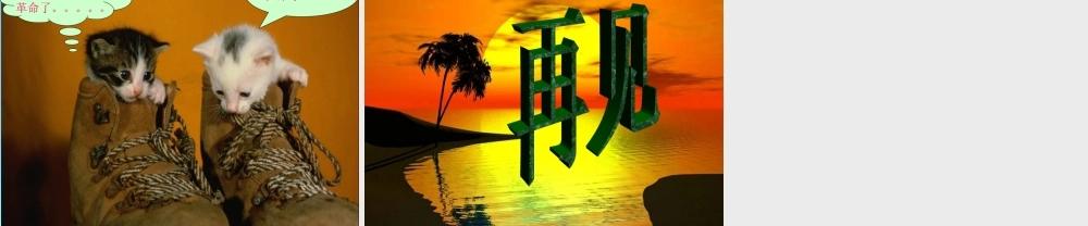 九年级物理 第十七章第三节太阳能课件 人教新课标版 课件