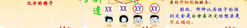 八年级生物上册  第四单元第四章生物的遗传和变异复习课件 济南版 课件