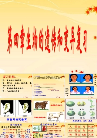 八年级生物上册  第四单元第四章生物的遗传和变异复习课件 济南版 课件