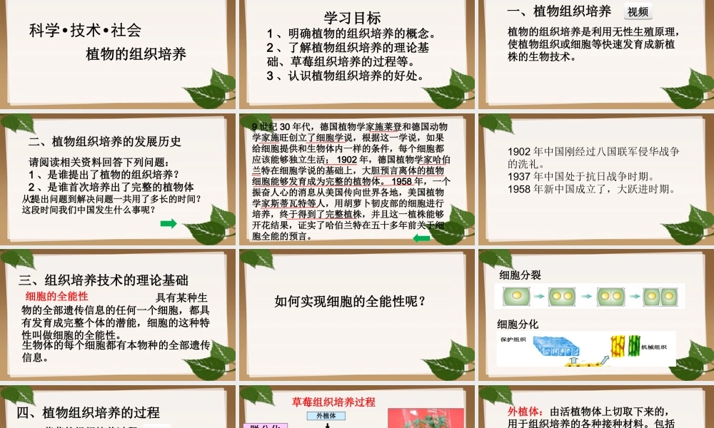 科学·技术·社会植物的组织培养-(2)