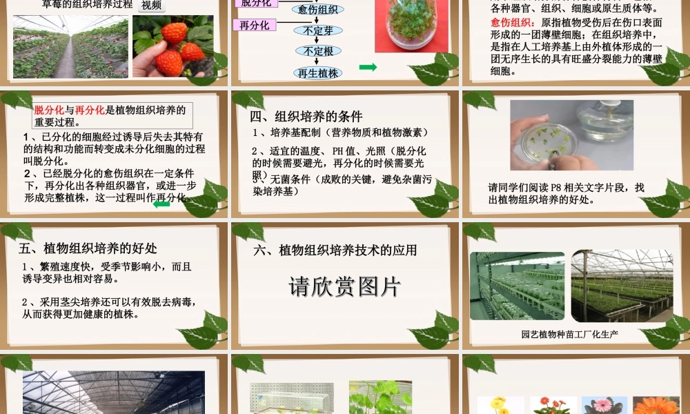 科学·技术·社会植物的组织培养-(2)