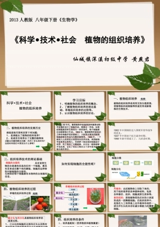 科学·技术·社会植物的组织培养-(2)