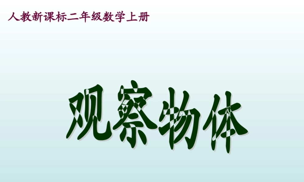 人教新课标数学二年级上册《观察物体2》PPT课件