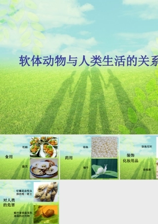 软体动物与人类生活的关系