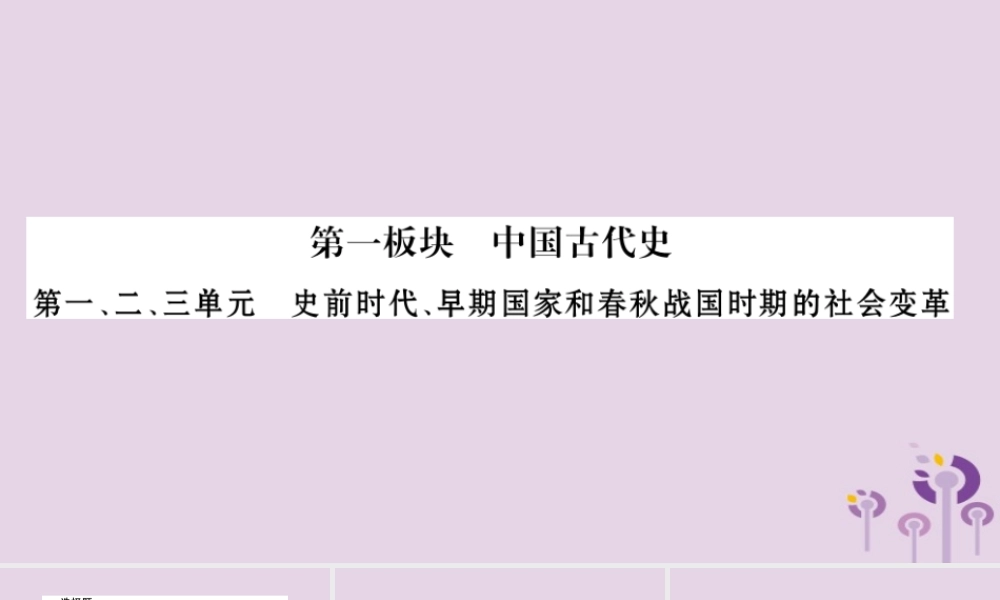 中考历史复习 第一篇 教材系统复习 第1板块 中国古代史 第1、2、3单元 史前时代、早期国家和春秋战国时期的社会变革(习题)课件