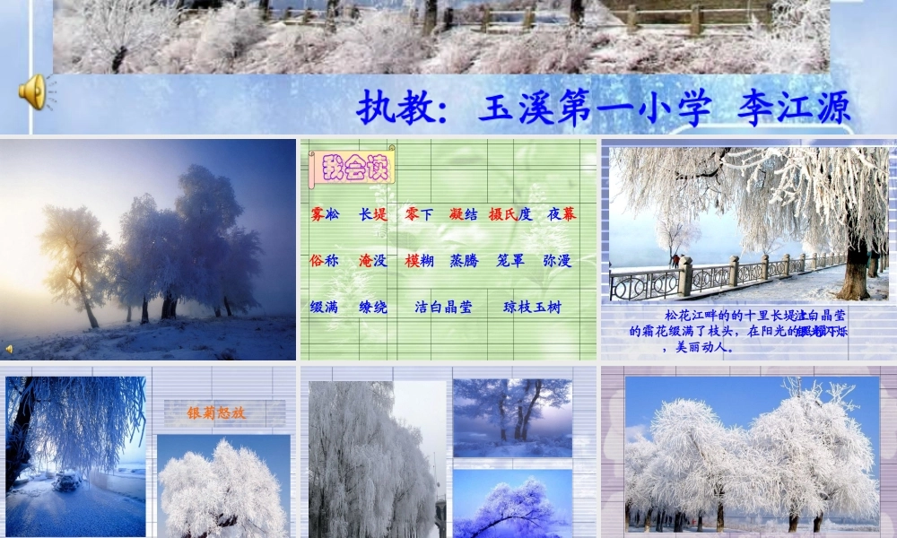 《雾凇》教学