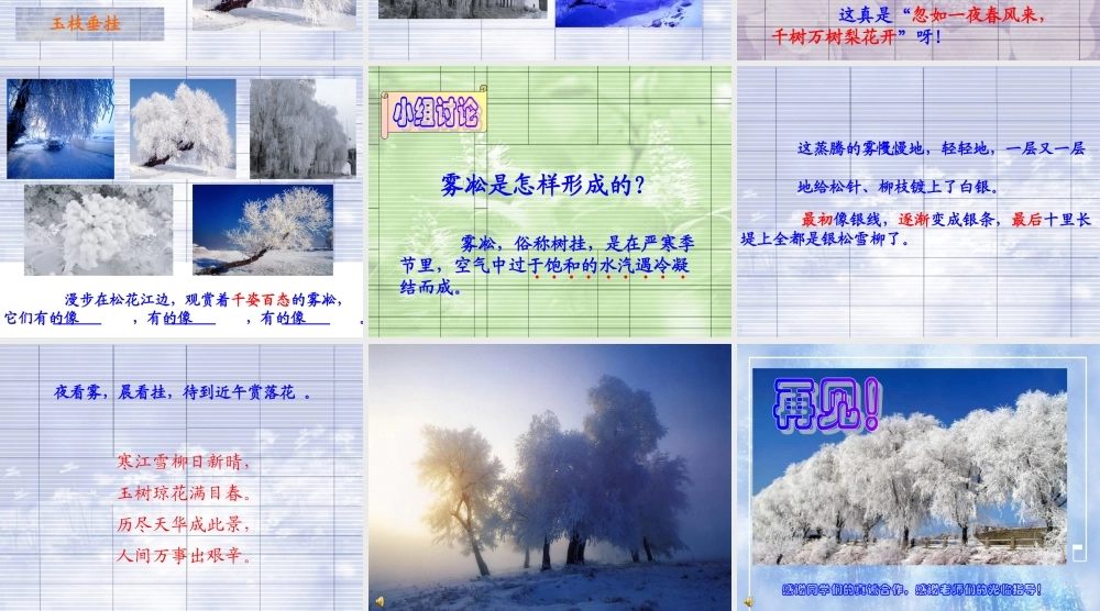 《雾凇》教学