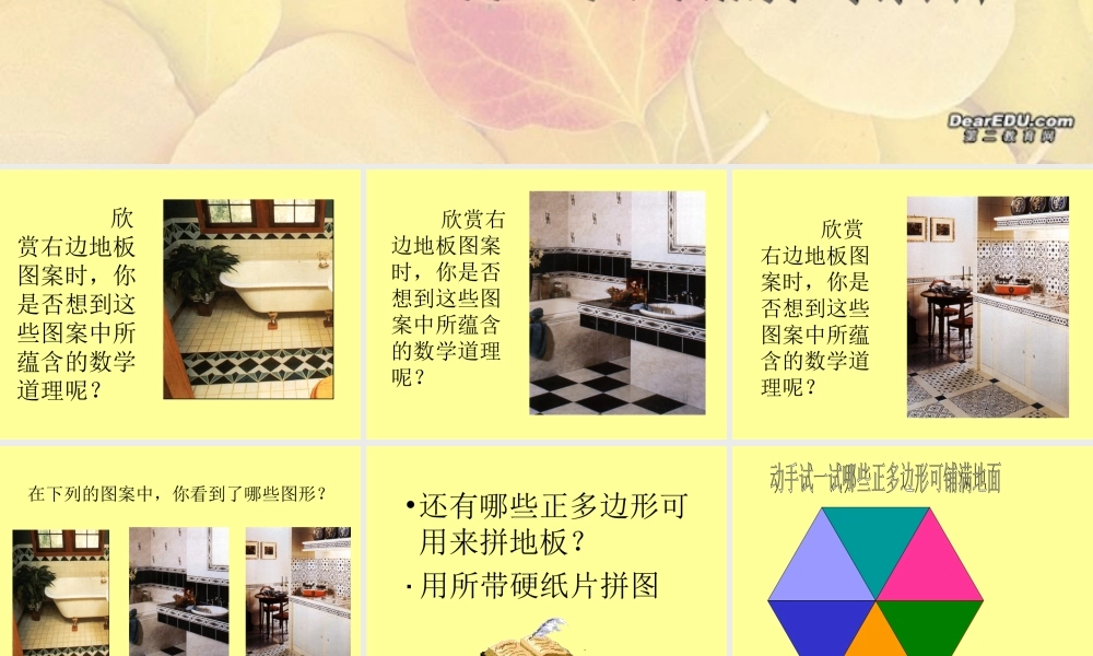 七年级数学正多边形铺地板课件 华师版 课件